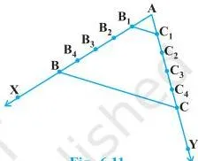 Triangles 6 Class 10: NCERT Maths Chapter 6 PDF Similarly, on ray AY, mark points $C_1, C_2, C_3, C_4$ and C such that $AC_1 = C_1C_2 = C_2C_3 = C_3C_4 = C_4C$. Then join $B_1C_1$ and BC (see Fig. 6.11).