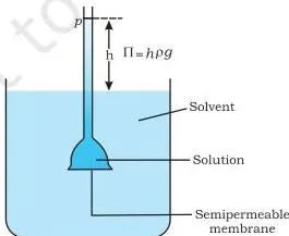Types of Solutions Class 12 Formulas A thistle funnel with its lower end sealed by a semipermeable membrane dipping into a beaker of solvent, the solution level rising in the funnel stem as solvent flows in