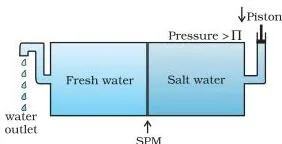 Types of Solutions Class 12: NCERT Chemistry Chapter 1 A reverse osmosis setup where pressure greater than the osmotic pressure pushes pure solvent out of the solution through the semipermeable membrane