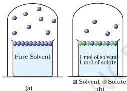 Solutions Class 12 Notes: Laws, Colligative Properties Comparison of a pure solvent surface and a solution surface, where solute particles occupy part of the surface and reduce the number of escaping solvent molecules