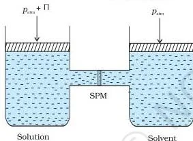 Solutions Class 12 Notes: Laws, Colligative Properties Apparatus in which an external pressure equal to the osmotic pressure is applied on the solution side to stop the flow of solvent