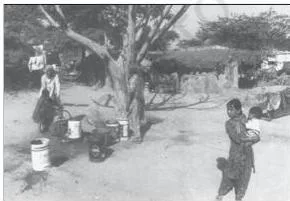 NCERT Class 11 Sociology Chapter 3: Understanding Social Institutions An illustration prompting the reader to notice that a family and a household residence are different things