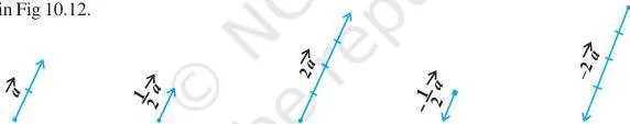 Vector Algebra Class 12 Formulas One vector drawn in several versions: stretched by a positive scalar, shrunk, and reversed by a negative scalar, all staying on the same straight line