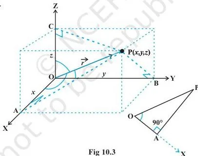 Vector Algebra Class 12 Formulas Position vector of a point P(x, y, z) drawn from the origin O, with the direction angles to the three axes marked — the angles whose cosines give the direction cosines