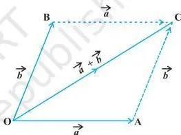 Vector Algebra Class 12 Formulas Two vectors a and b drawn from one common point as adjacent sides of a parallelogram, with their sum shown as the diagonal through that common point
