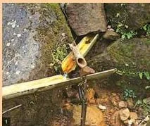 Bamboo pipes diverting water from a perennial hilltop spring downhill by gravity, the first stage of Meghalaya's bamboo drip irrigation system