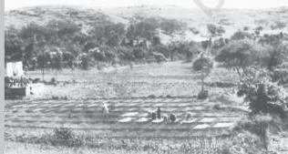 Photograph of Ralegan Siddhi village in its degraded condition before the watershed mitigation approach began