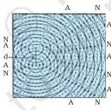 Wave Optics Class 12 Formulas Two needles oscillating in phase in a water trough, representing two coherent sources that produce a stable interference pattern