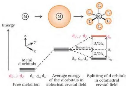 Werner's Theory of Coordination Compounds Class 12 PDF Energy level diagram of an octahedral crystal field: five degenerate d orbitals split into three lower t2g and two higher eg orbitals separated by the gap delta-o