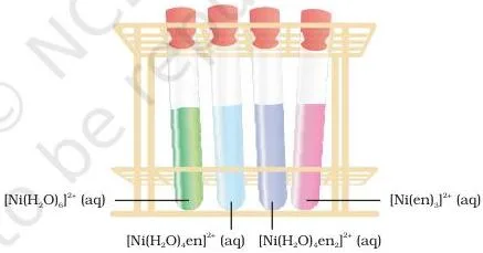 Coordination Compounds Class 12 Notes: Full Chapter Revision Freshly prepared aqueous solutions of nickel(II) complexes with increasing numbers of ethane-1,2-diamine ligands showing colour change from green to pale blue to blue-purple to violet