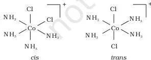 Coordination Compounds Class 12 Notes: Full Chapter Revision Square planar platinum diamminedichloride showing the cis isomer with both chlorides adjacent and the trans isomer with chlorides opposite