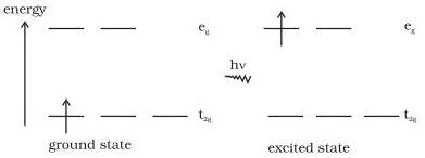 Werner's Theory of Coordination Compounds Class 12 PDF Energy diagram of Ti(H2O)6(3+) showing a single electron jumping from the lower t2g level to the higher eg level, the d-d transition that absorbs blue-green light