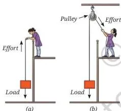 Work Energy and Simple Machines Class 9 Notes - Learncbse.net